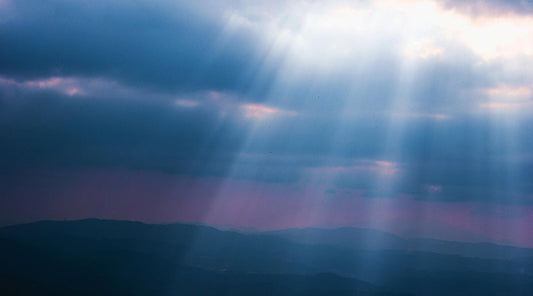 伝説を生む男キャメロン - 俳優との関係性と映画史における不朽の地位