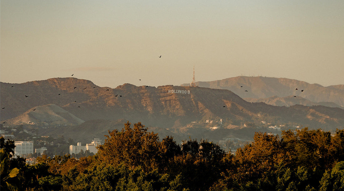 ハル・アシュビーの映画史における評価と現代への影響 - ニュー・ハリウッド期の重要な作家性