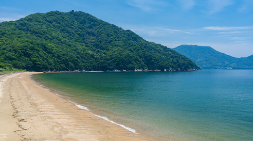 行定勲の演出美学: 静けさの中に宿る感情
