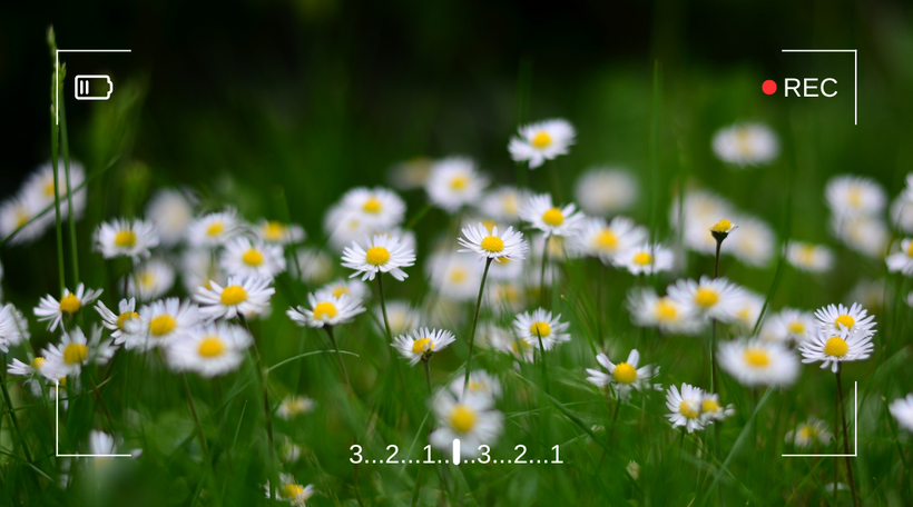 散歩と写真から学ぶ撮影視点｜日常の美しさを動画制作に活かす方法
